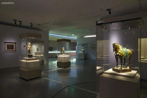 絲路遺珍，雪域瑰寶——2019年度十大陳列展覽精品之《絲綢之路上的文化交流 吐蕃時期藝術珍品展》推介